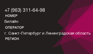 9633116498